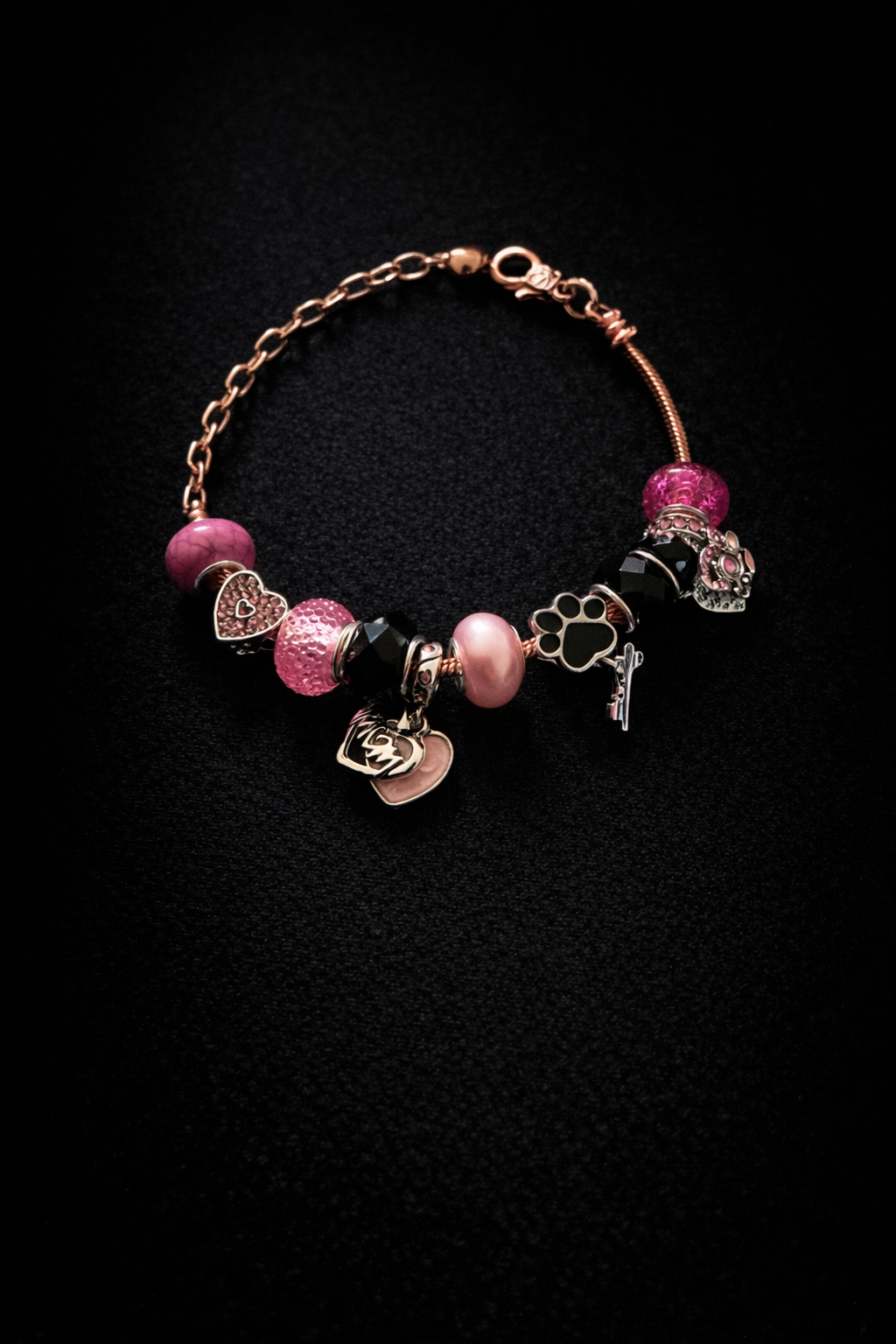 Pandora Charm Bracelet