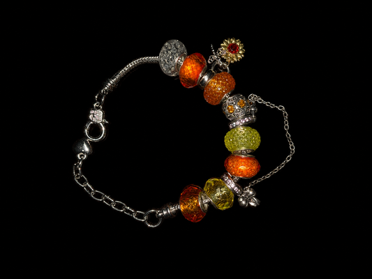 Pandora Charm Bracelet